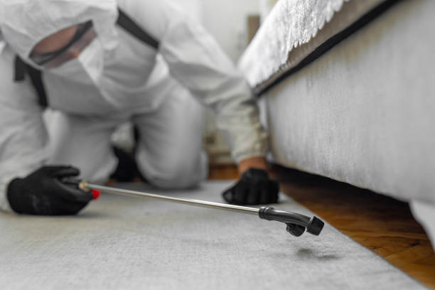 Professional Termite Control technician working in Kualapuu, HI