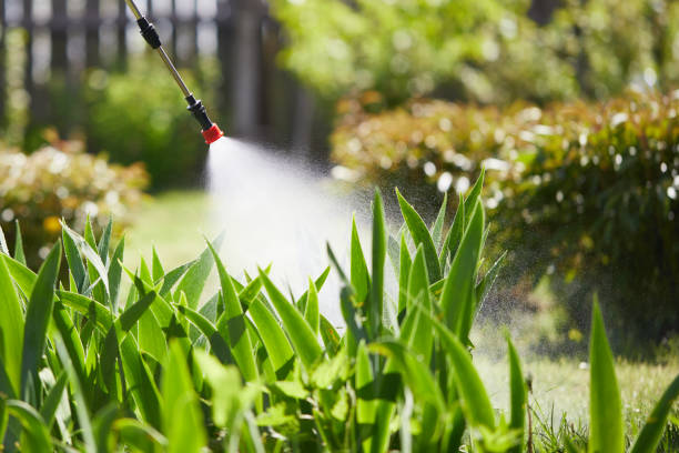 24/7 Emergency Termite Control experts in Kualapuu, HI