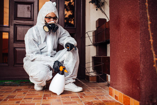 Reliable Termite Control contractor in Kualapuu, HI by Nex Pest Control